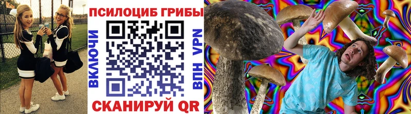 магазин продажи   Копейск  гидра как войти  Псилоцибиновые грибы GOLDEN TEACHER 